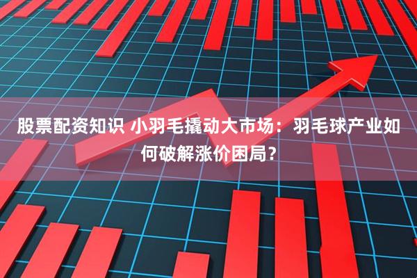 股票配资知识 小羽毛撬动大市场：羽毛球产业如何破解涨价困局？