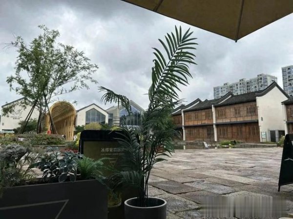 短线配资网 摆脱35岁危机, 我为什么要选择出海做程序员?