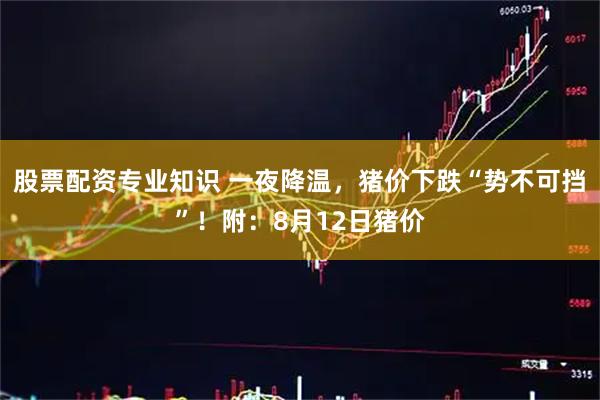 股票配资专业知识 一夜降温，猪价下跌“势不可挡”！附：8月12日猪价