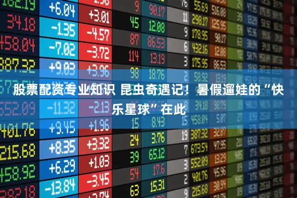 股票配资专业知识 昆虫奇遇记！暑假遛娃的“快乐星球”在此